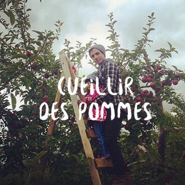 Cueillir des pommes